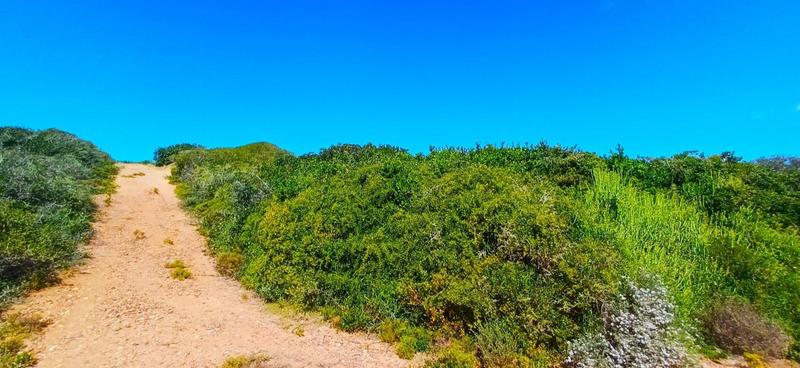 0 Bedroom Property for Sale in Moquini Coastal Estate Western Cape
